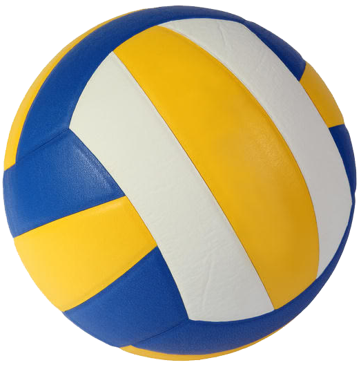 VOLLEYBALL Icon
